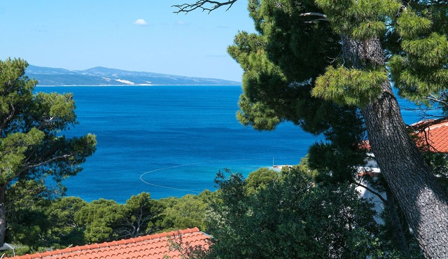 Three bedroom apartment with terrace and sea view Brela, Makarska (A-2717-b)