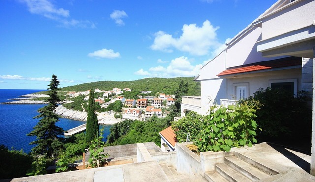 Three bedroom apartment with terrace and sea view Zavalatica, Korčula (A-545-a)