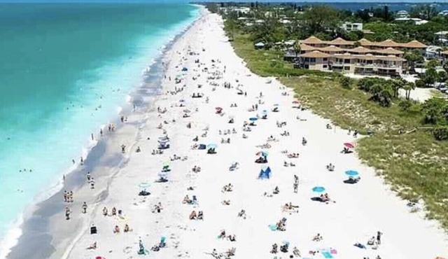 Three Bedroom Condo with Elevator and Views of Gulf and Lemon Bay n