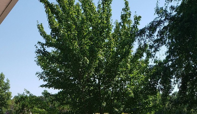 three bedroom fully equipped house, water view, 5 min from best beaches