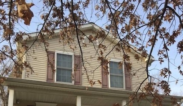 Three Bedroom Home in Downtown Erie, Pa