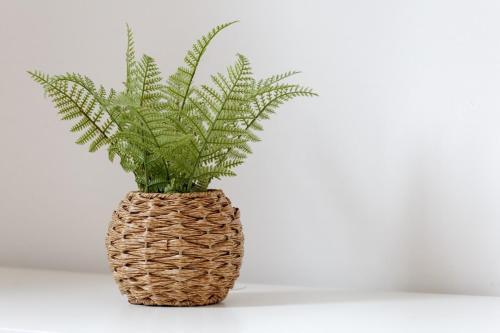 Three-Bedroom House with Garden in Newton-Le-Willows