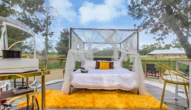 Three Bubble Dome Home with Pool & Hot Tub on Farm