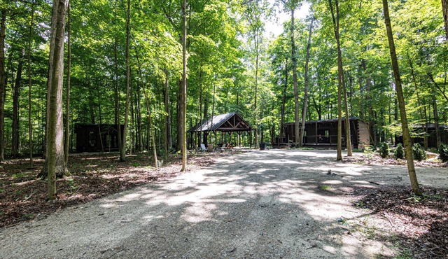 Three Cozy Cabin Retreats nestled in nature