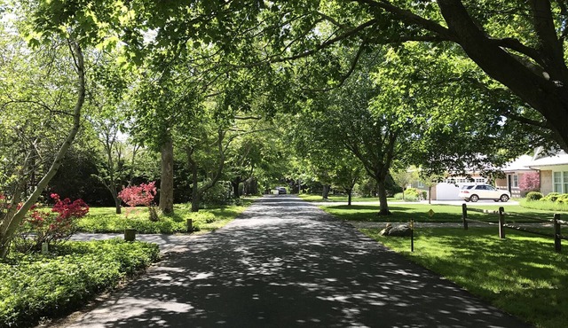 Throwback Amagansett cottage five minutes from beach. Kid and pet-friendly!