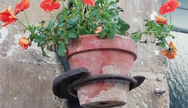 Thunder Roadhouse - The Blue Apartment in the heart of our small town