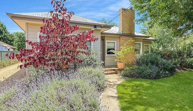 Tickety-Boo on Collopy