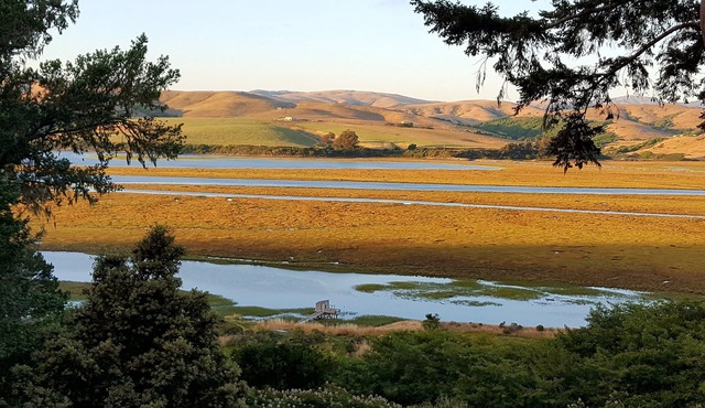 Tide View's peaceful beauty