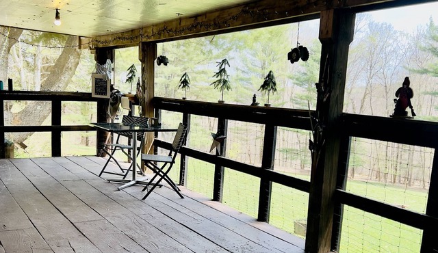 Tidioute Allegheny River- Kayaking, Fishing and More- Pets Friendly