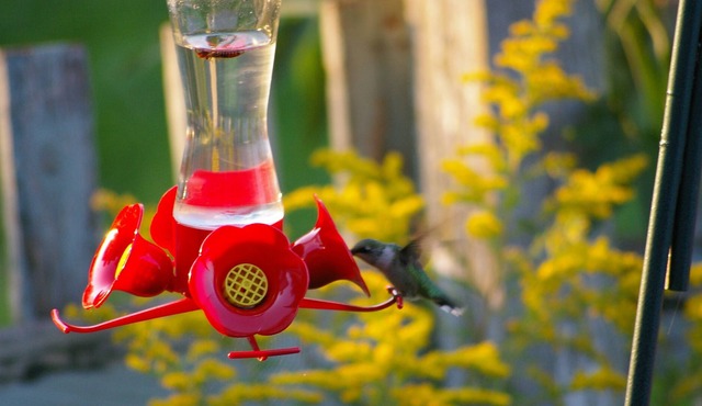 Tidnish River House - Grand Country Homestead