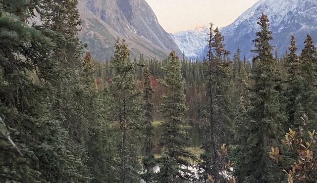 Tiekel River RV & Storage Park- Book for Tailgate.