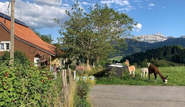 Tiererlebnishof Windegg by Interhome