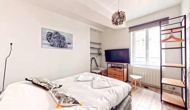 TIGER ROOM - Studio Gailleton Place Bellecour