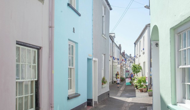 Tillerman Cottage (Appledore) Devon