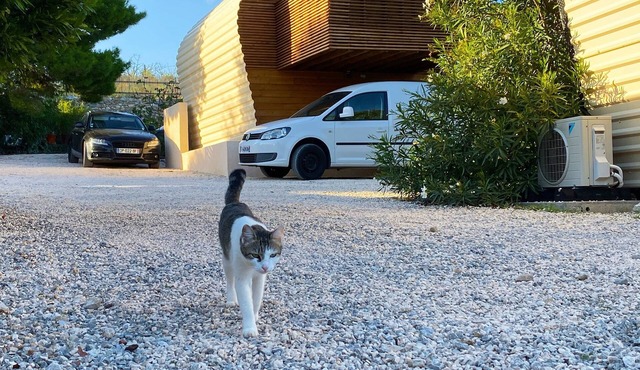 Tilley Lounge Zen CoCoon