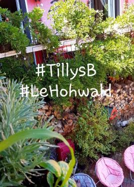 Tilly's B&B and apartment house