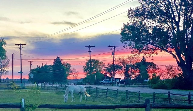 Tilted Rooster Ranch Guesthouse - 5 Minutes from Airport & 10 From Downtown