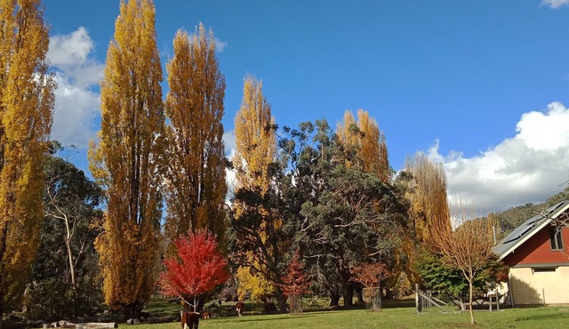 Timbarra Hideaway - the perfect retreat