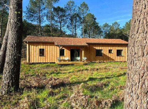 Timber Cabin Among Pines Near Mimizan Beaches
