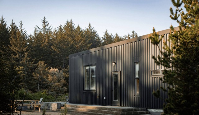 Timber Haus w/Loft - Timber Haus, one of our newest (and largest) cabins, is full of light with full windows and skylights. Queen bedroom and upper two-twin loft. Sleeps 4.