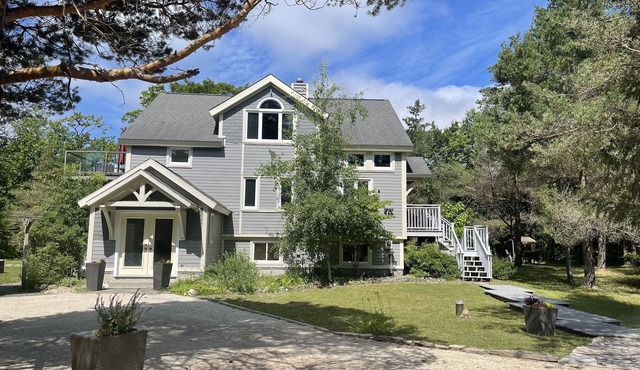 Timber House In The Forest