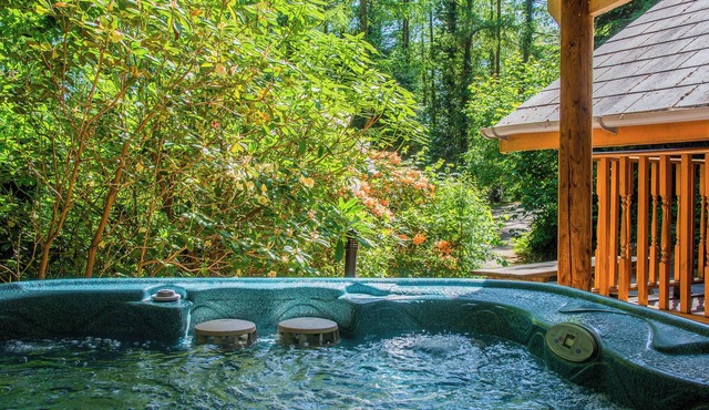 Timber lodge set high in an elevated position.