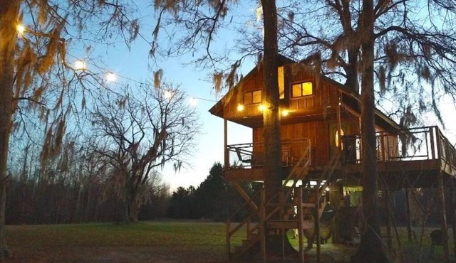 Timber Retreat Rustic Tree House