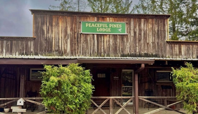 Timberline Cabins - Peaceful Pines Lodge, WiFi, Pets, Stalls, Hot Tub