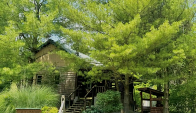 Timberline Cabins - The Richmond Cabin - Hot tub, Pets, WiFi, Fireplace