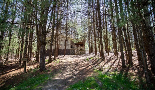 Timberline Cabins - Wildwood Cottage - Hot tub, Pets, Fireplace