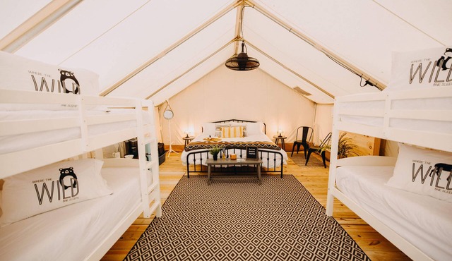 Timberline Glamping at Unicoi State Park
