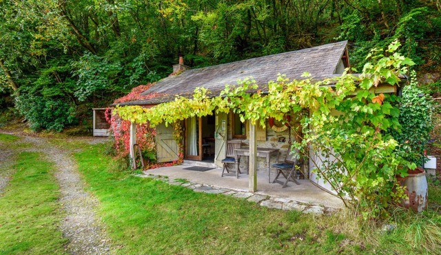 Tin mine riverside retreat, log fires, views, wildlife, ruins, pet-friendly