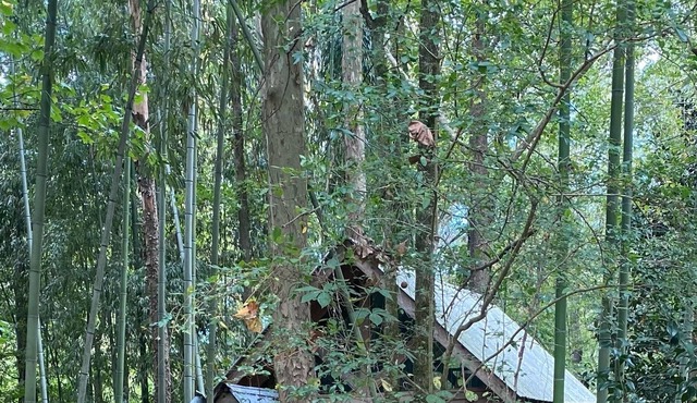 Tin Roof Rusted tiny house -2.5 miles to downtown, quite, secluded and private!