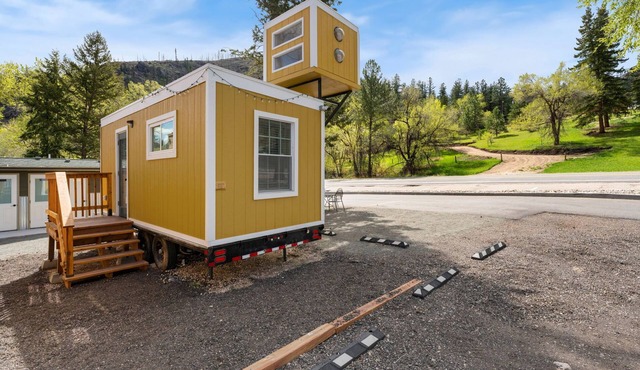 Tiny 1- Cameron Peak