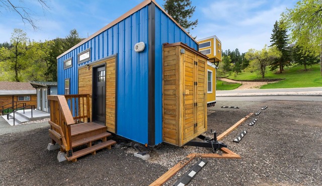 Tiny 2- Sleeping Elephant