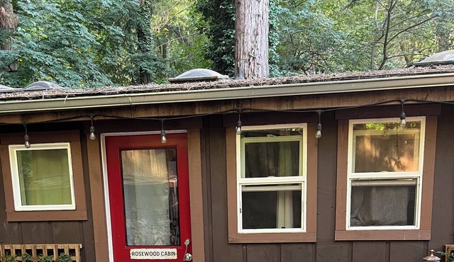 Tiny Art House in the Santa Cruz Mountains