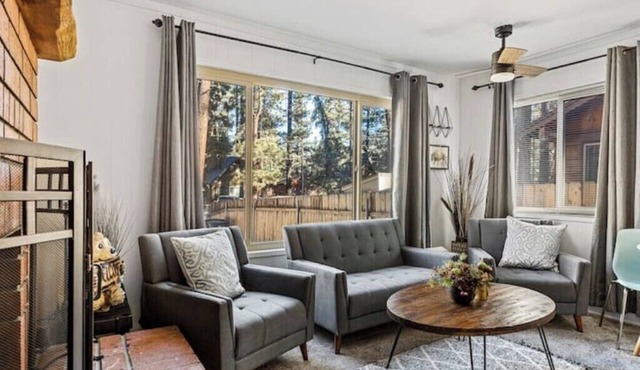 Tiny Cabin BBQ FirePit Walk 2 Snowplay