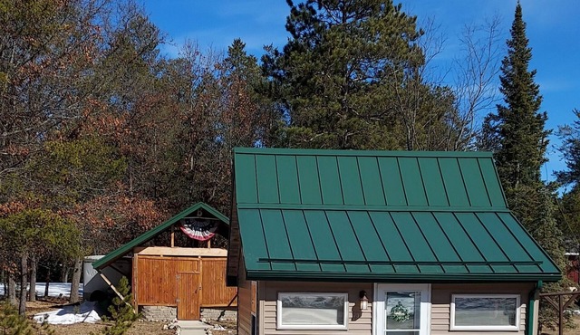 Tiny Cabin in Huron National Forest!