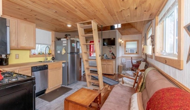 Tiny Cabin in The Catskill Mountains