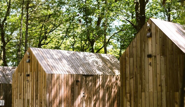 Tiny Cabin in the Woods