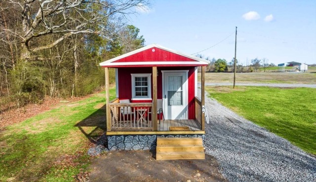 Tiny cabin on 10 acres with pond