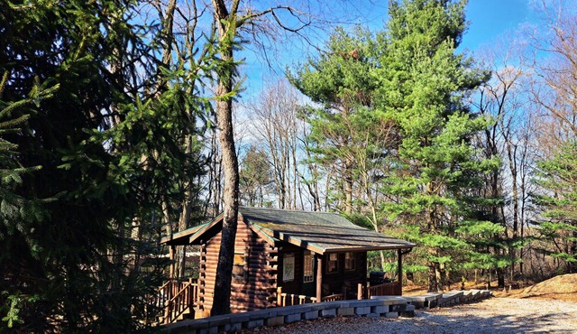 Tiny Cabin on the outskirts of Mohican State Park