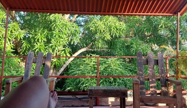 Tiny Coco Paradise - Casita Azul