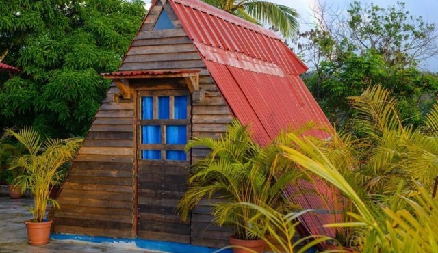 Tiny coco paradise rd