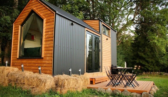 Tiny des Sucs by Tiny Away