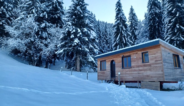 Tiny House in Méaudre in the heart of nature (Vercors plateau)