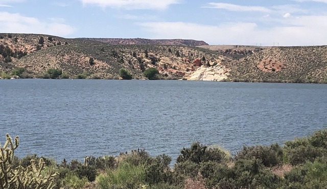 Tiny Gem near Snow Canyon