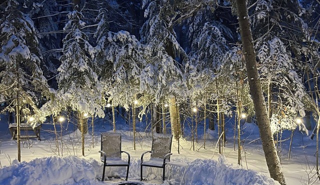 Tiny Home Bliss Harcourt/Bancroft.