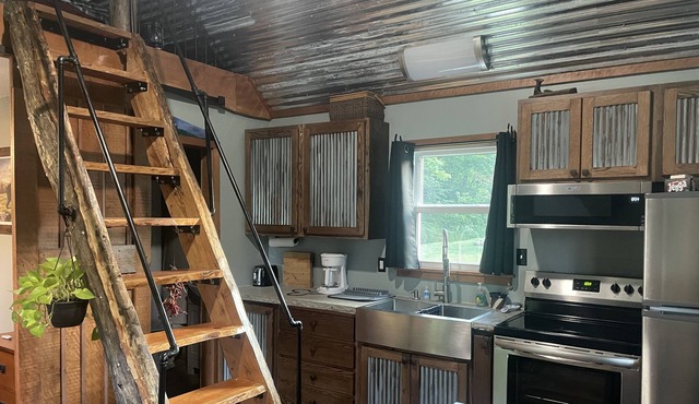 Tiny home / cabin on the waters of Isner Creek
