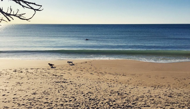 Tiny Home in Wainui Beach, Gisborne